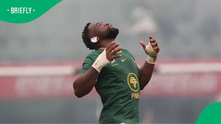 Siya Kolisi calls Springboks star 'Grandpa' after the veteran impressed in win over All Blacks