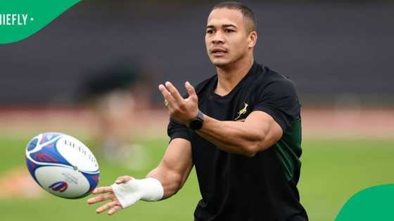 Springboks stars show no smiles as ‘final’ squad poses ahead of Cape Town Test against All Blacks