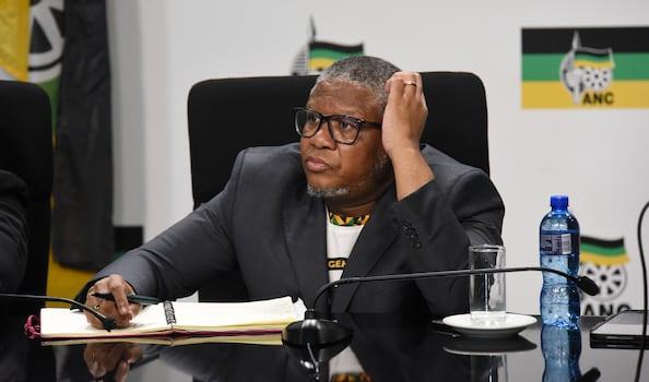 ‘Boss’ Mbalula faces ANC backlash over election list chaos