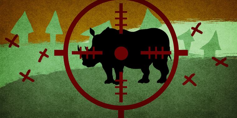 OP-ED: Trophy hunting quotas: Civil society objected, but did anyone in government listen?