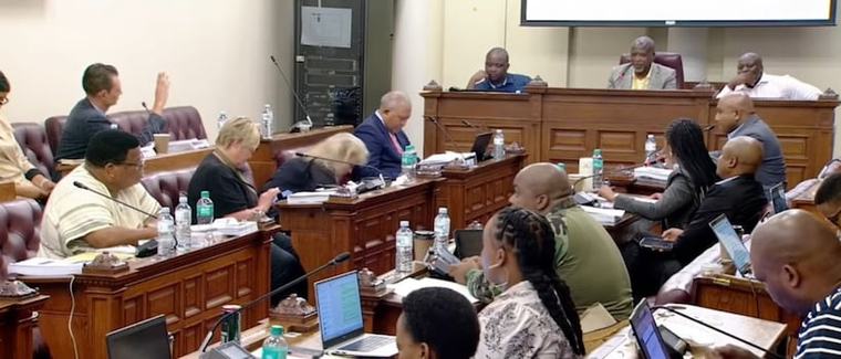 Ad hoc committee descends into chaos as DA, ActionSA walk out over squabbling MPs