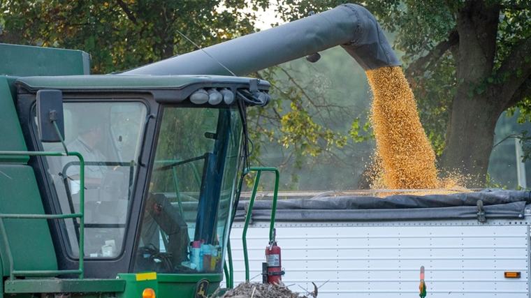 07 Sep 2026 Produkdiefstal: Stille aanslag op boer en bord