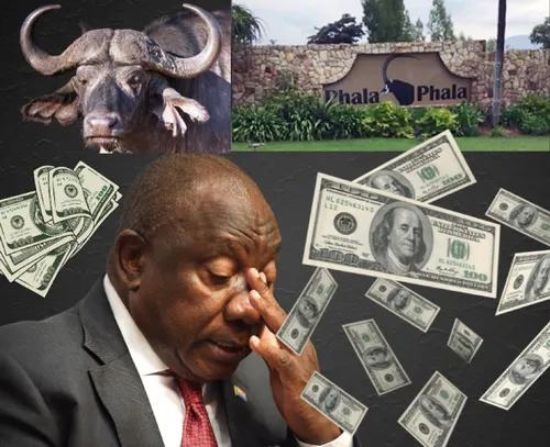 Phala Phala: Judgment reserved in Ramaphosa’s bid to overturn impeachment report