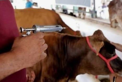 08 Sep 2026 Farmers welcome minister’s action on FMD medicine