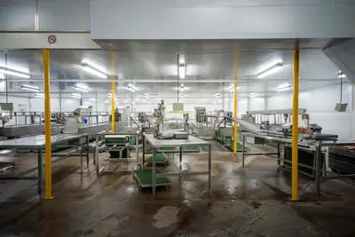 How to get our idling factories humming and creating jobs again