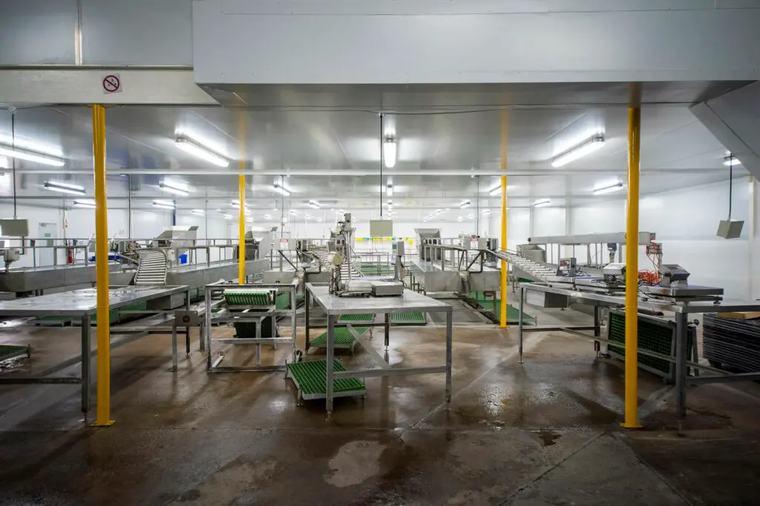 How to get our idling factories humming and creating jobs again