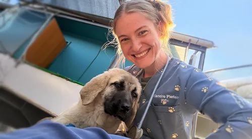 Spring pet health: Care tips as the weather warms up
