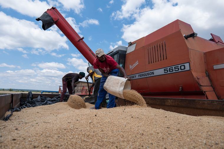 Zimbabwe a Key Market for South Africa’s Agricultural Industry