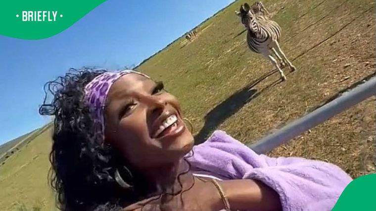 Pregnant zebra responds to American singer's 'Circle of Life' serenade